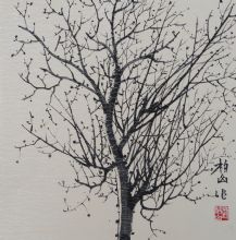 北京门头沟画树